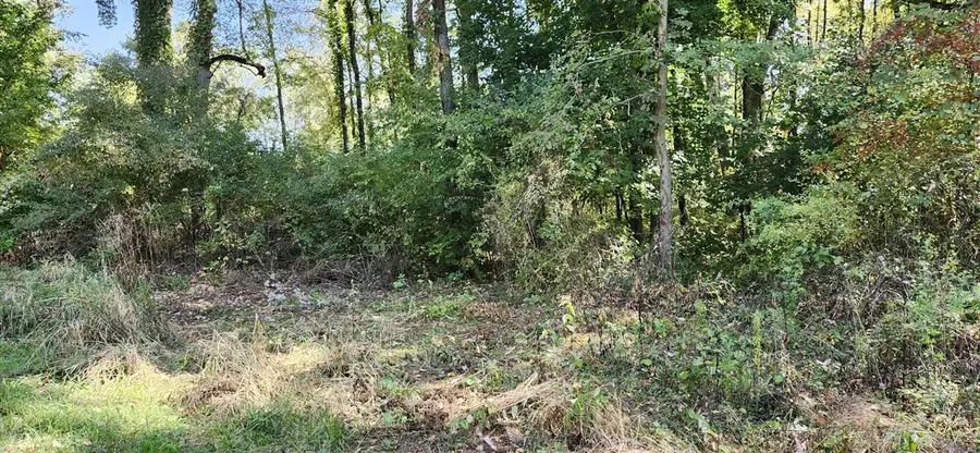 00000 N Shore, Edwardsburg, MI 49112 - Image #2