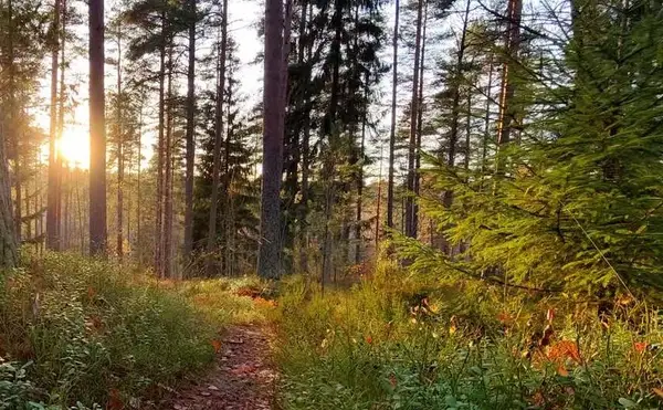 1605 Sterling Oaks, Ada, MI 49301