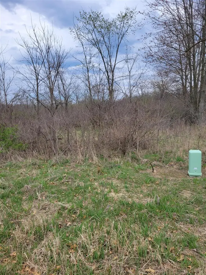 0 Rentz, Ann Arbor, MI 48103 - Image #2