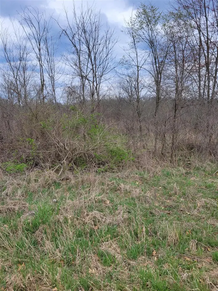 0 Rentz, Ann Arbor, MI 48103 - Image #3