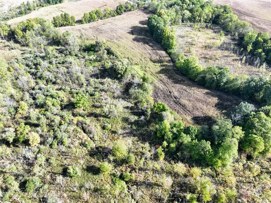 VL Hoffman Street, Lot#wp001, Vandalia, MI 49095 - Image #3