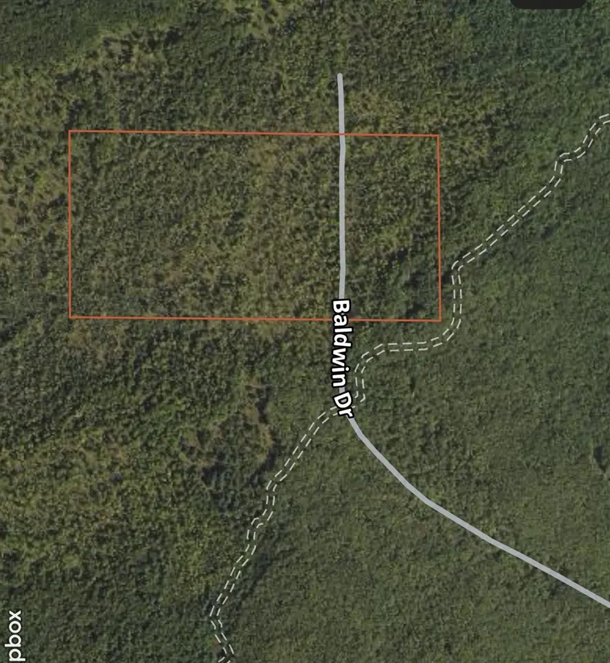 13460 Baldwin, Bitely, MI 49309 - Image #3