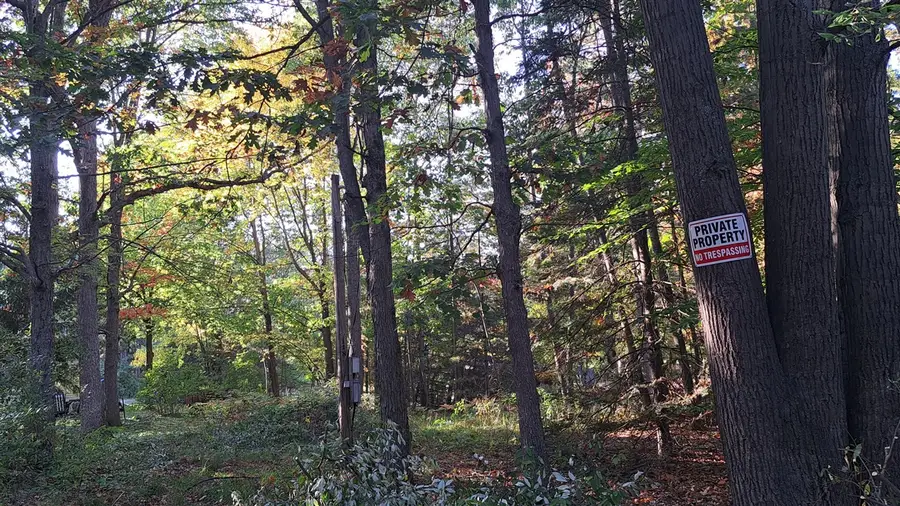 118 Marquette, Houghton Lake, MI 48629 - Image #2