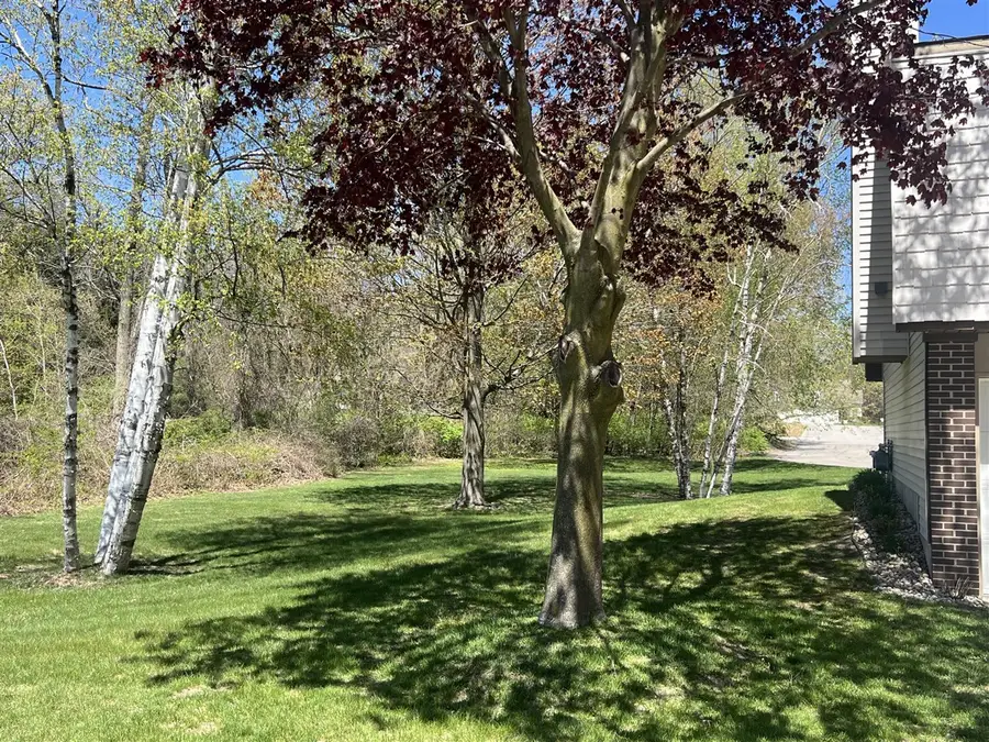 17267 Roosevelt, Spring Lake, MI 49456 - #3