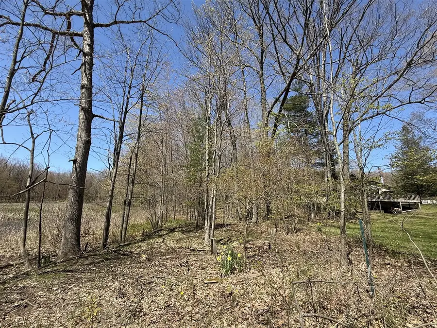 E Dennis, Walkerville, MI 49459 - Image #3