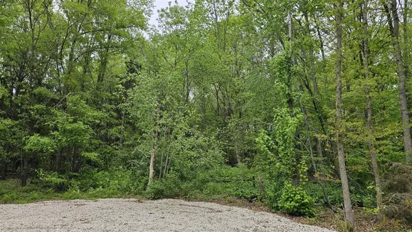 11158 Worley Dam Rd, West Olive, MI 49460