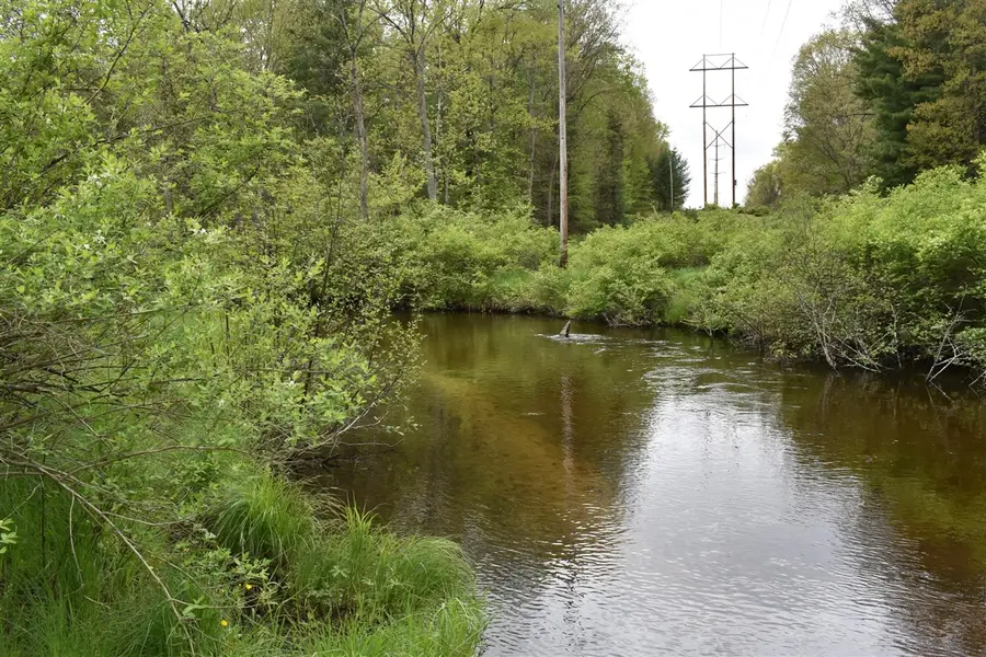 00 S Ever Blooming, Baldwin, MI 49304 - Image #2