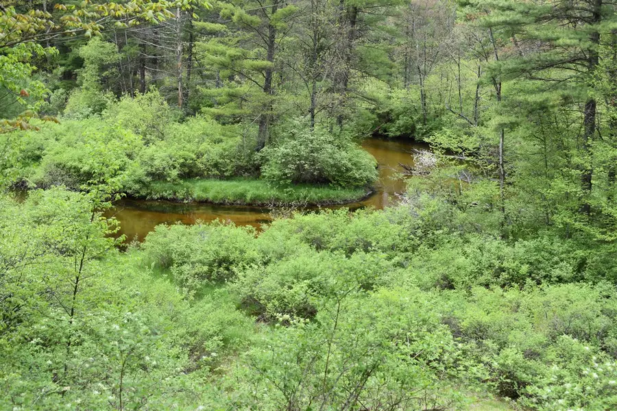 00 S Ever Blooming, Baldwin, MI 49304 - Image #3