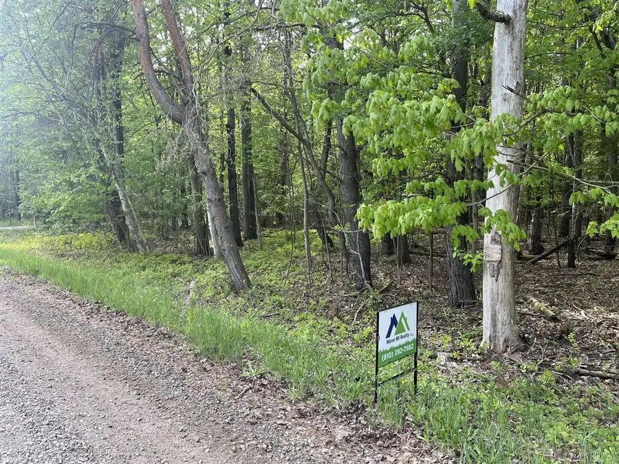 Mortimer Line, Croswell, MI 48422 - #2