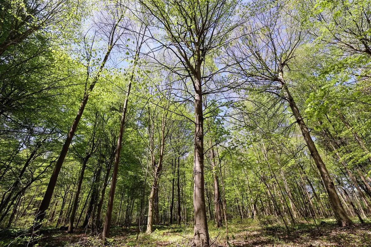 VL Benny Ct (all Parcels), Grand Junction, MI 49056 - Image #1