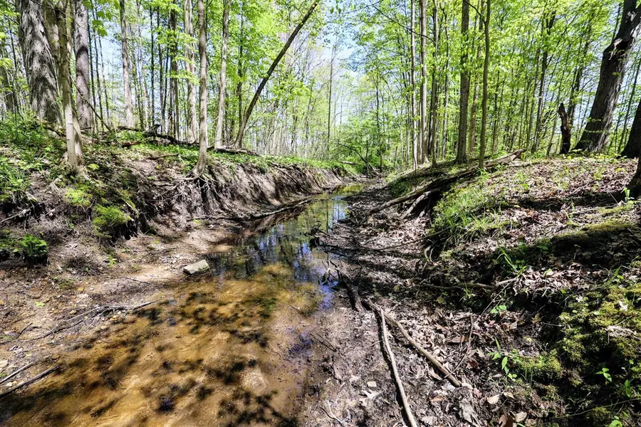 VL Benny Ct (all Parcels), Grand Junction, MI 49056 - Image #2