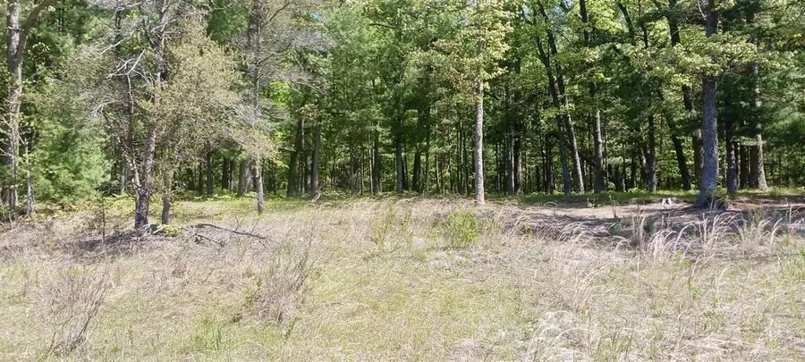 VL E Pine, Twin Lake, MI 49457 - Image #2