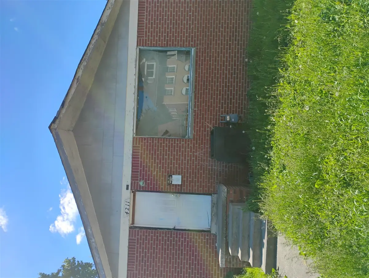 4211 Elmhurst, Detroit, MI 48204 - #1