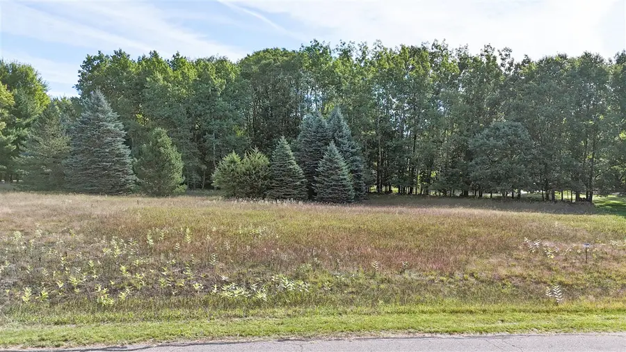 7256 Ryans Run, Stanwood, MI 49346 - #2