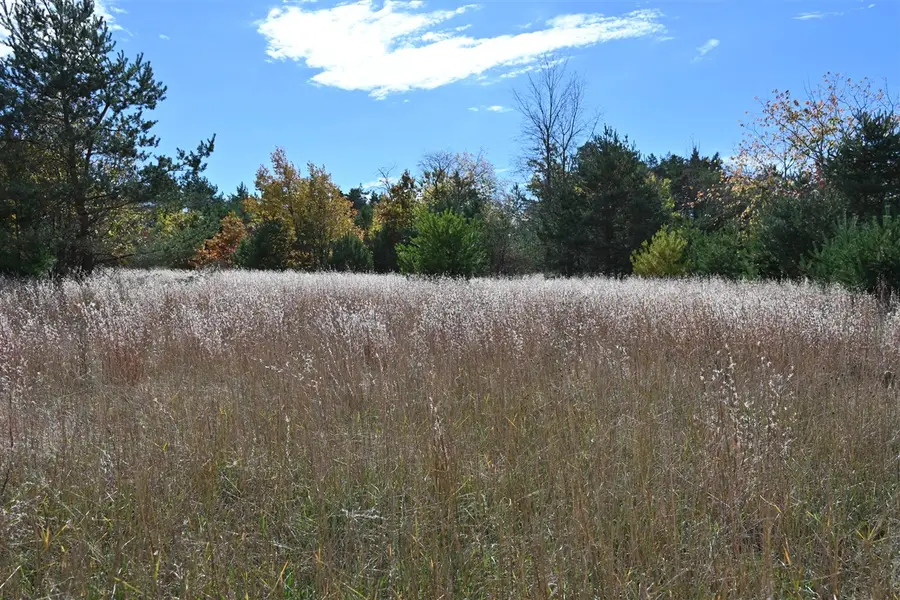 0 Motz, Kalkaska, MI 49646 - Image #3