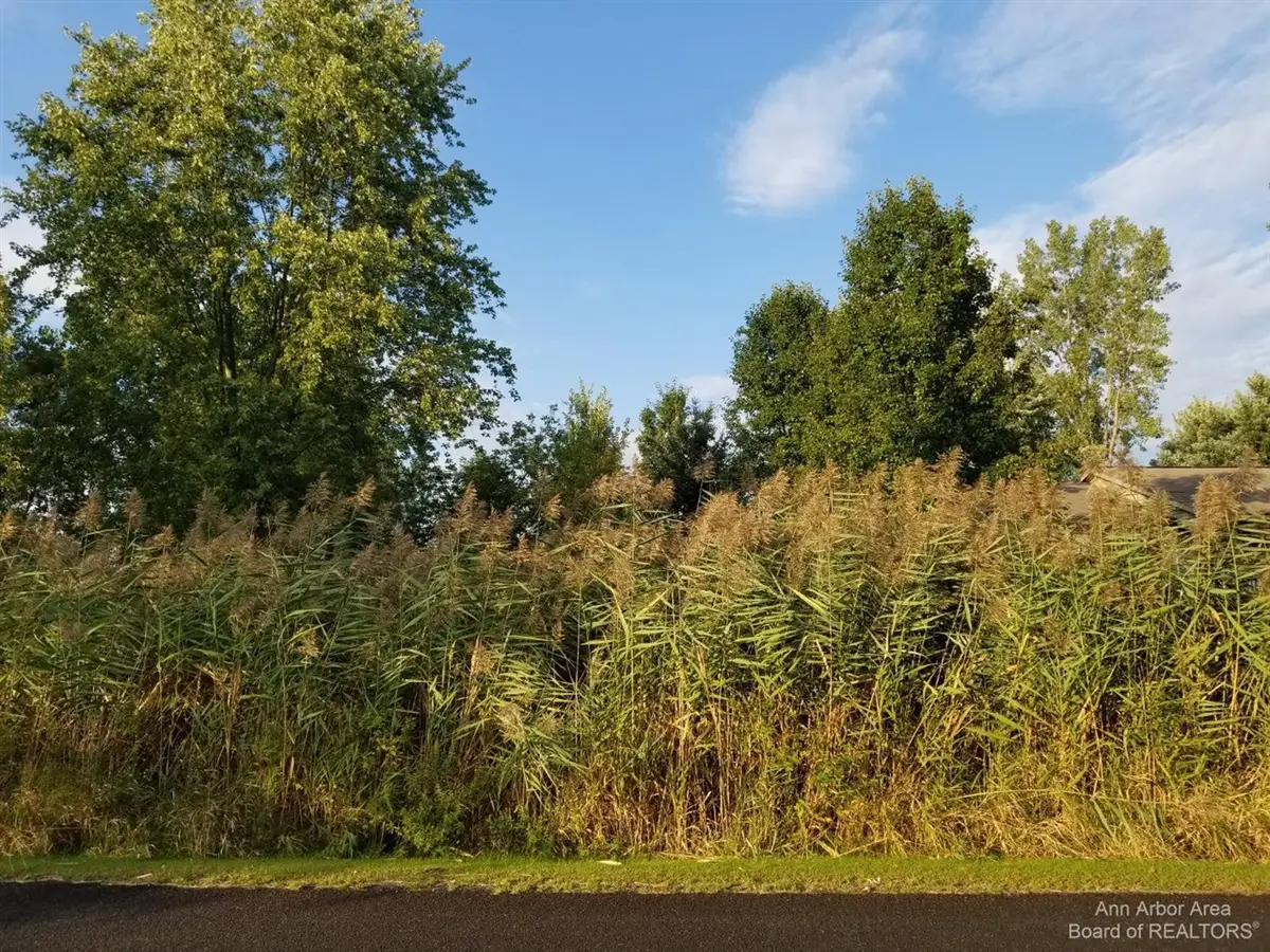 7966 Kingsley, Onsted, MI 49265 - #1