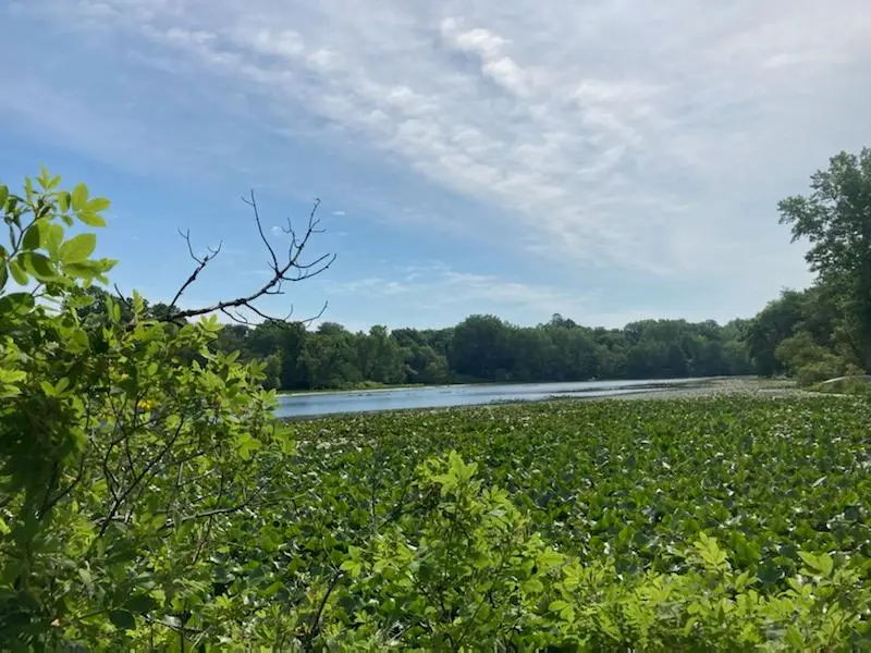 Garr, Berrien Springs, MI 49103 - #2