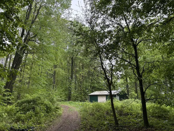 5220 Park, Six Lakes, MI 48886