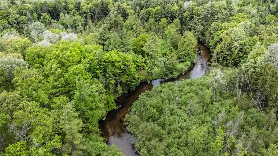 V/L East Pomeroy Springs Rd, Irons, MI 49644 - #2