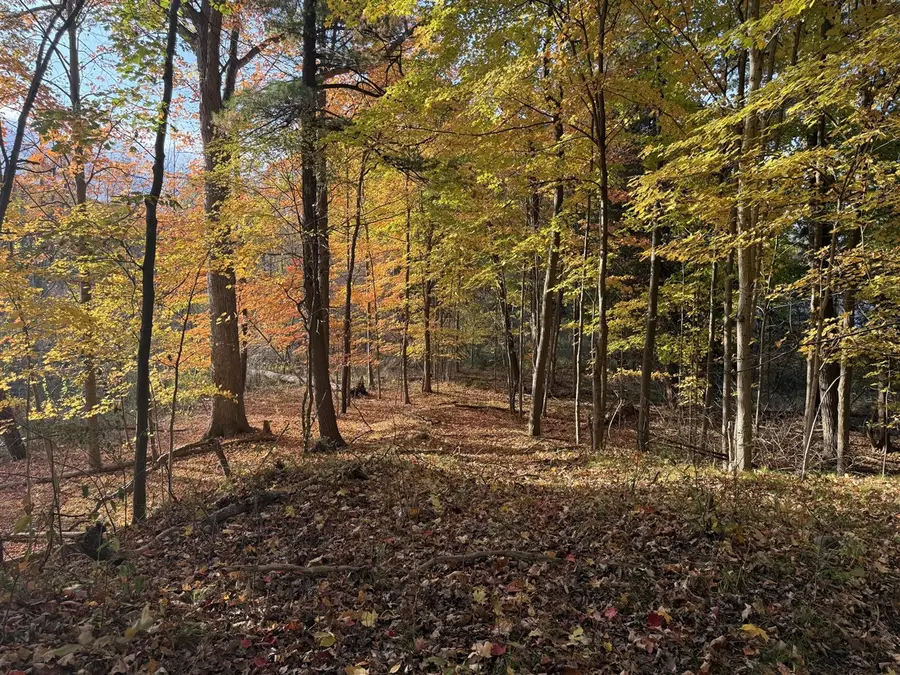 5950 S Lake George Road, Dryden, MI 48428 - #2