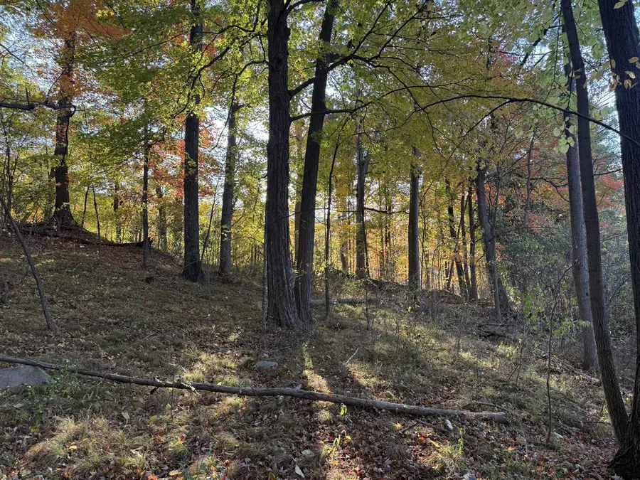 5950 S Lake George Road, Dryden, MI 48428 - #3