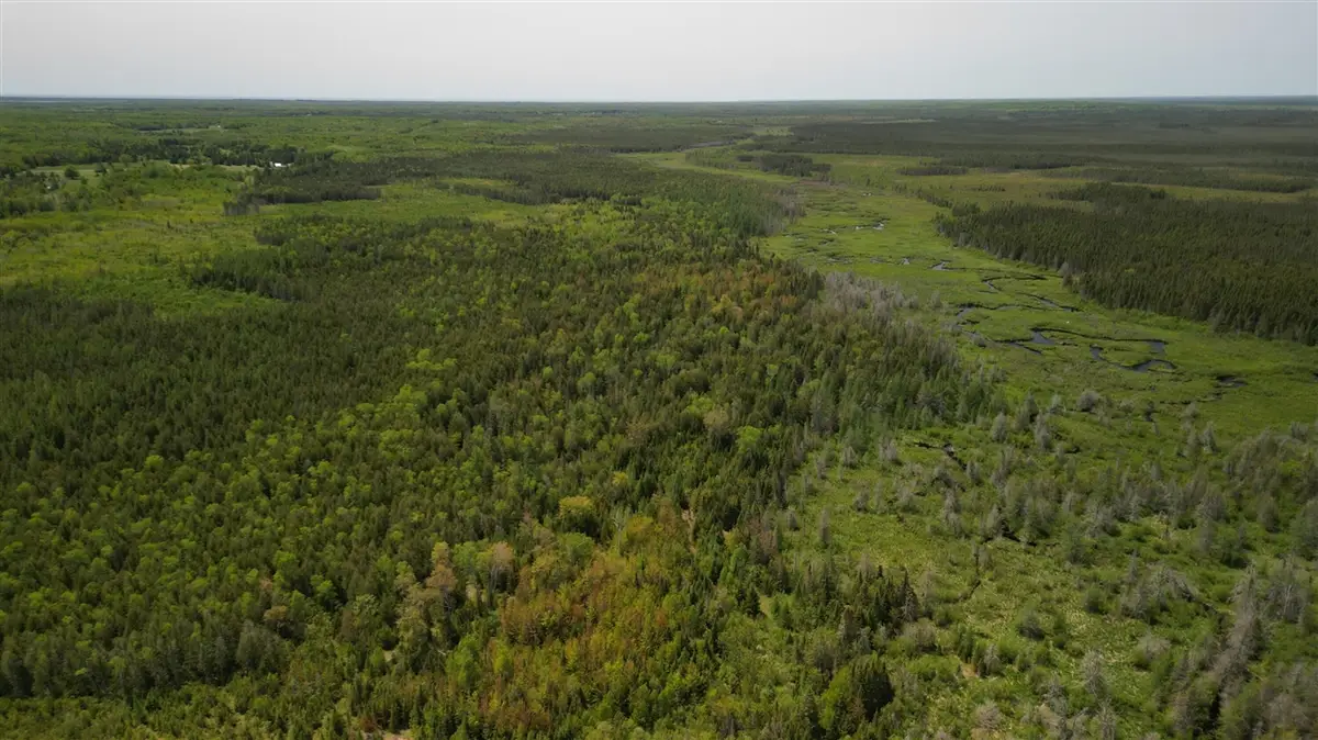 609absec19t43nr13ws1/2ofse1/4, Gulliver, MI 49840 - #1