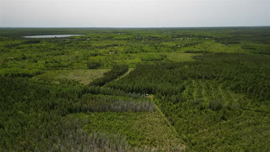 609absec19t43nr13ws1/2ofse1/4, Gulliver, MI 49840 - #2