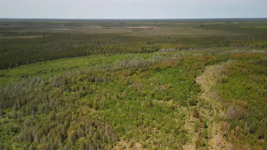 609absec19t43nr13ws1/2ofse1/4, Gulliver, MI 49840 - #3