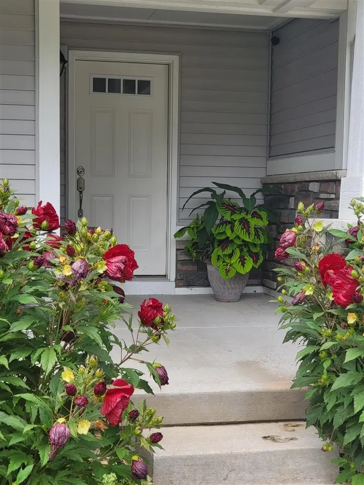 14415 Manor, Grand Haven, MI 49417 - #3