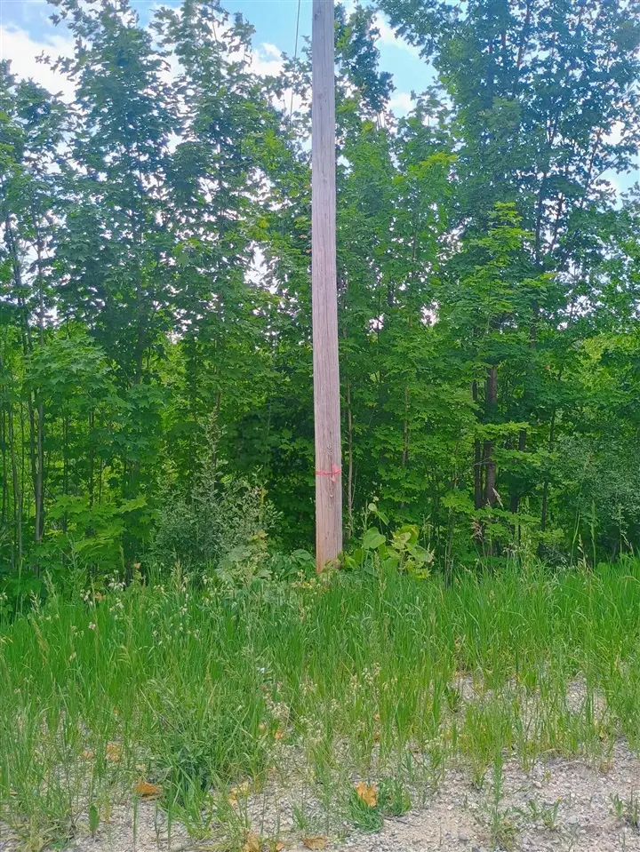 000 Pontius, Kalkaska, MI 49646 - #2