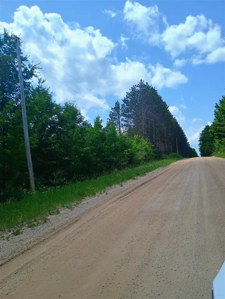 000 Pontius, Kalkaska, MI 49646 - #3