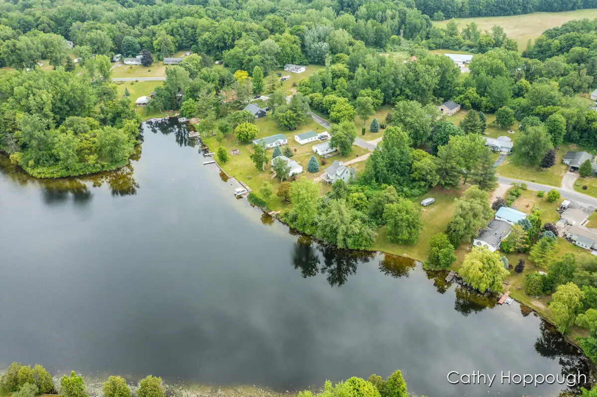 3737 E Shore, Stanton, MI 48888 - #1