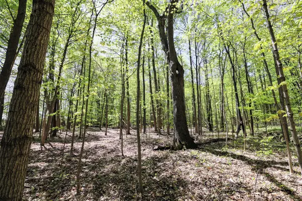 59385 Benny Ct (private), Grand Junction, MI 49056