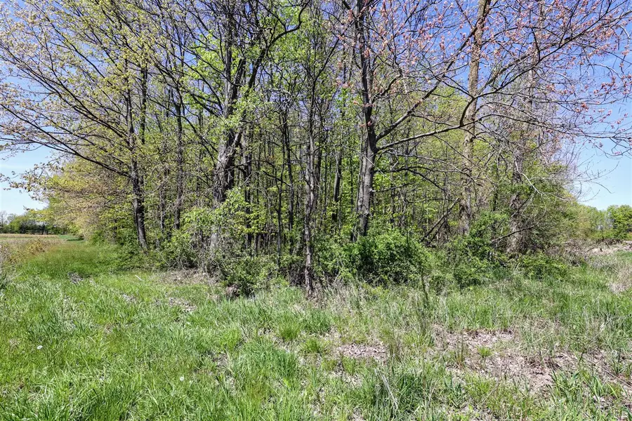 VL Benny Ct (private), Grand Junction, MI 49056 - Image #2