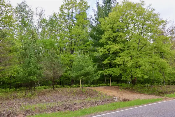 V/L E Levely, Rhodes, MI 48652