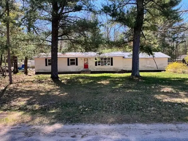 13553 S Star Lake, Baldwin, MI 49304 - Image #1