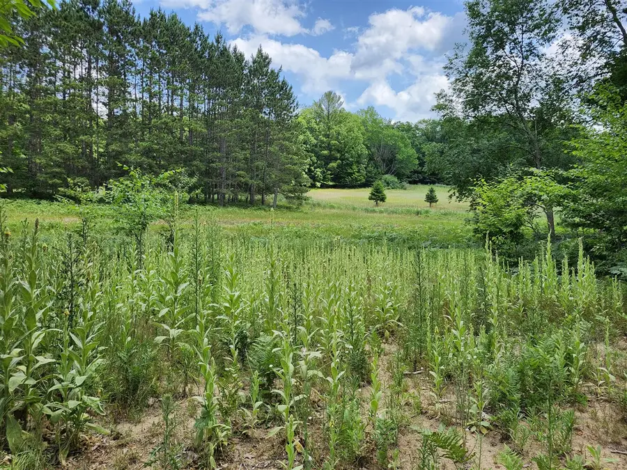 6389 S Woods Trail, Custer, MI 49405 - Image #3