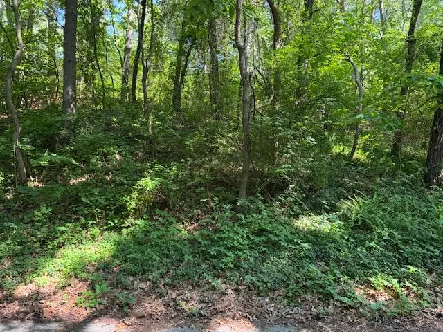 4 Lilac, Grand Beach, MI 49117 - Image #1