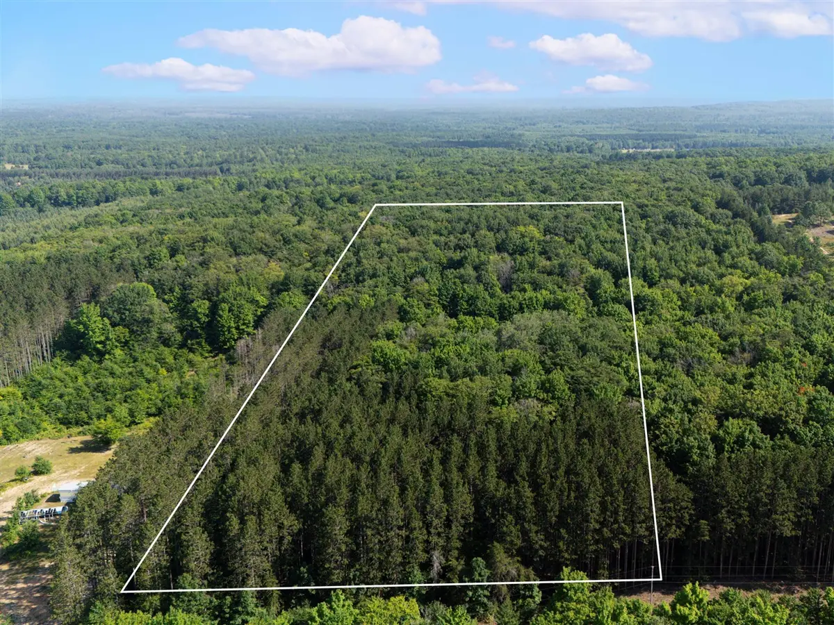 VL W Phelps, Manton, MI 49663 - Image #1