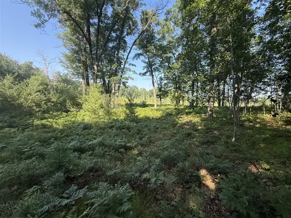 TBD W Royal, Stanwood, MI 49346