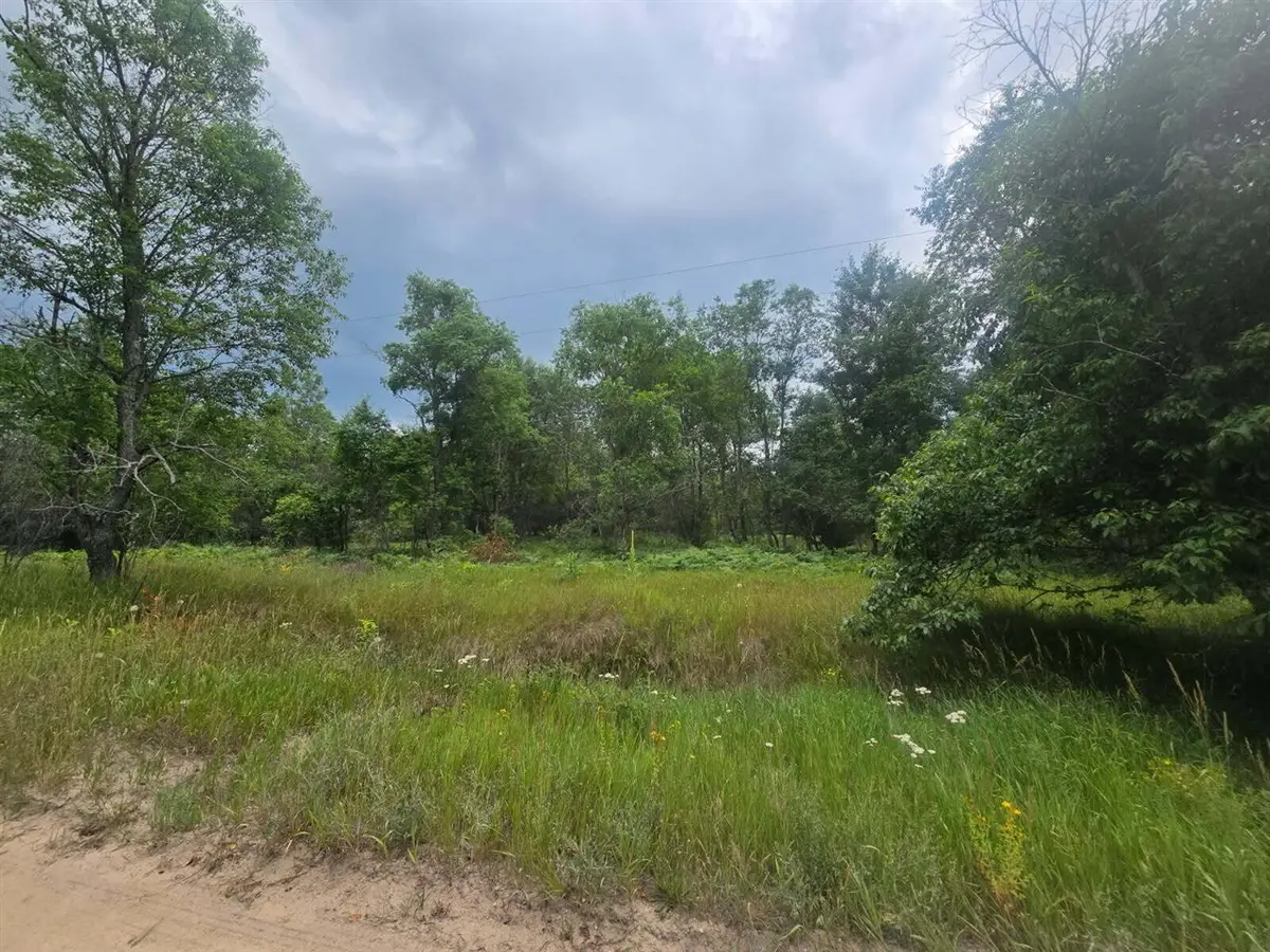 11660 Behlke, Fife Lake, MI 49633 - #1