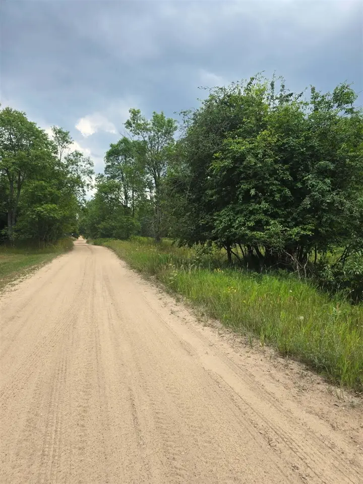 11660 Behlke, Fife Lake, MI 49633 - #3