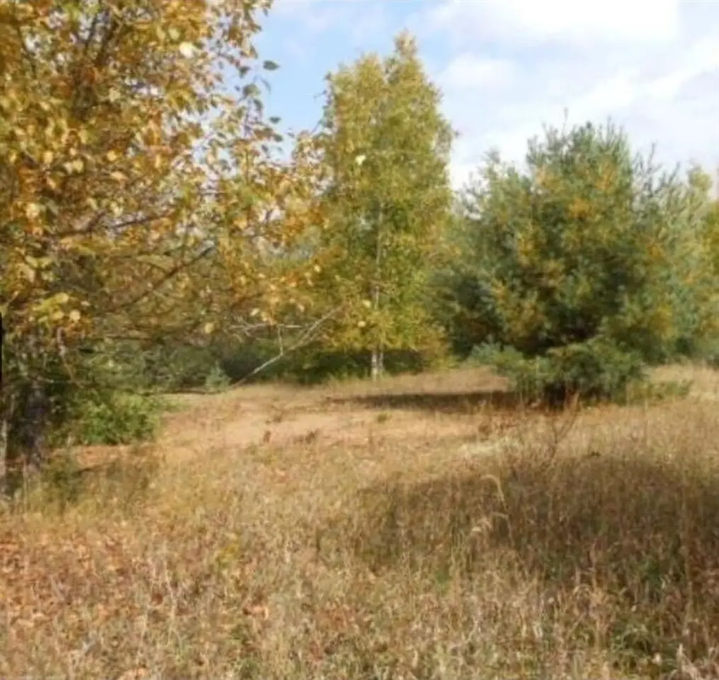 00 Pueblo Trail, Evart, MI 49631 - #1