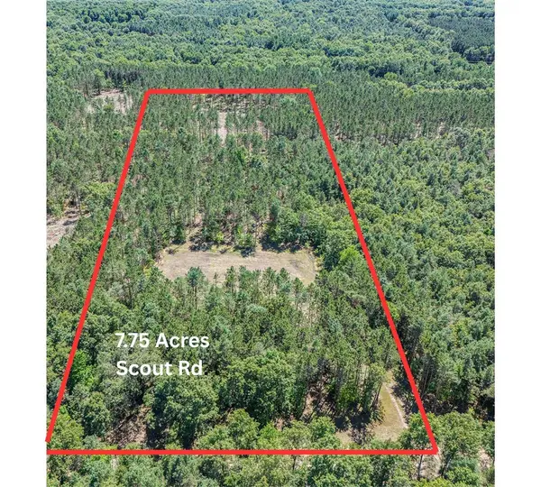 7.75 acres Scout, Mears, MI 49436