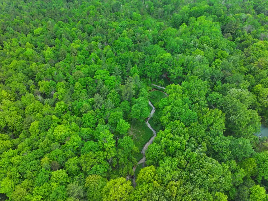 V/L 14A N Woodbridge, Bitely, MI 49309 - #1