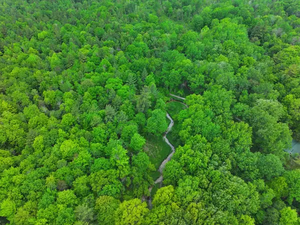 V/L 14A N Woodbridge, Bitely, MI 49309