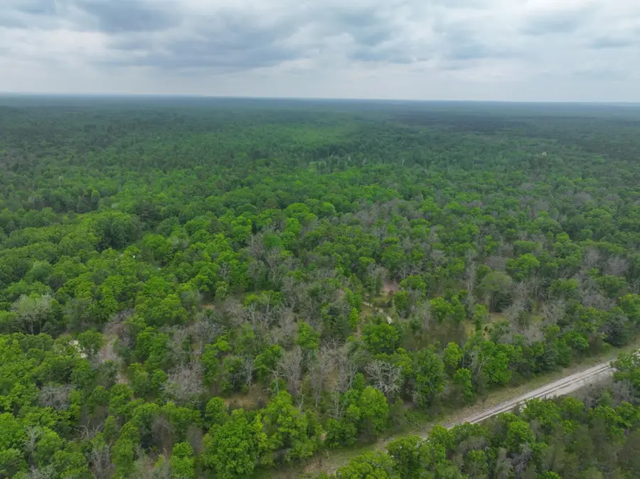 V/L 14A N Woodbridge, Bitely, MI 49309 - #3