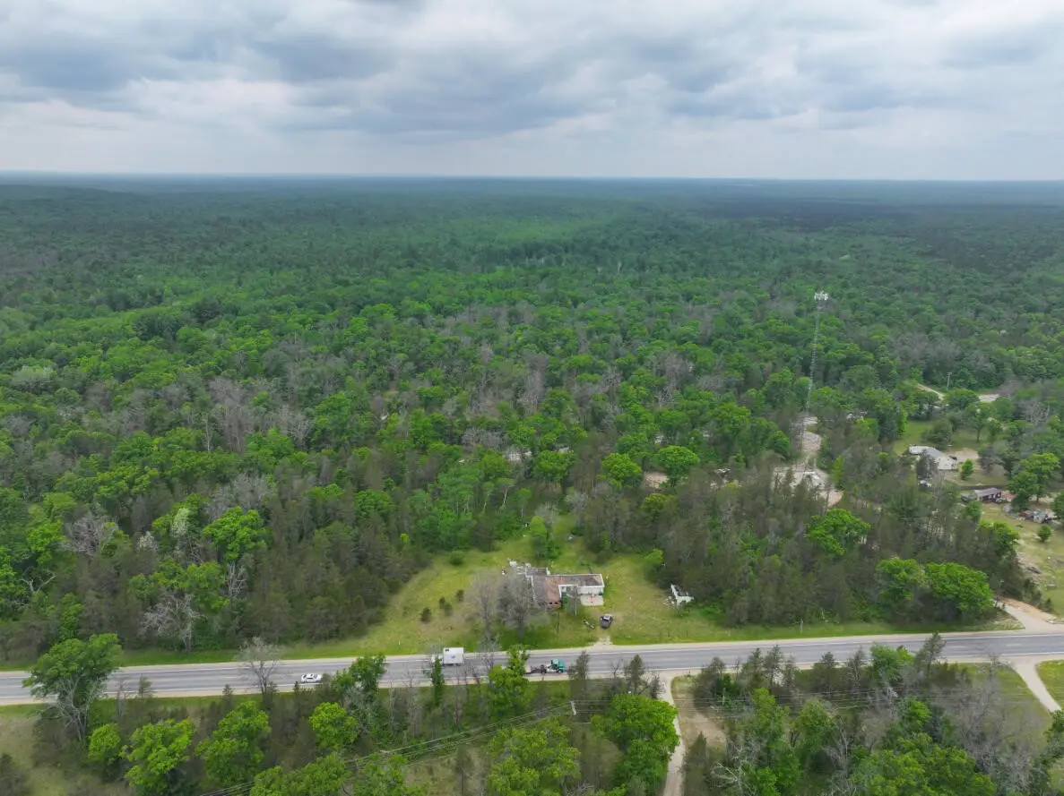 14269 N Woodbridge, Bitely, MI 49309 - #1