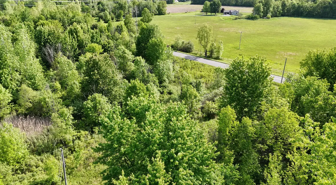 13027 Shaner, Cedar Springs, MI 49319 - #1