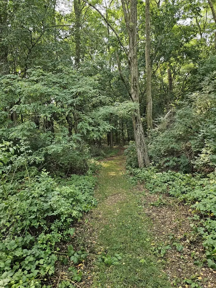 000 Short, Stevensville, MI 49127 - Image #3